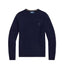 Maglioni Uomo Ralph Lauren - Ls Cn Pp Long Sleeve Pullover - Blu
