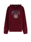 Felpe con cappuccio Uomo Ralph Lauren - Knit Sweatshirt - Bordeaux