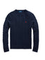 Maglie Uomo Ralph Lauren - Ls Driver Cn Long Sleeve Pullover - Azzurro