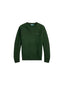Maglioni Uomo Ralph Lauren - Ls Cn Pp Long Sleeve Pullover - Verde
