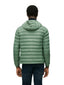 Giubbini Uomo Blauer - Charles - Verde