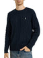 Maglie Uomo Ralph Lauren - Ls Driver Cn Long Sleeve Pullover - Blu